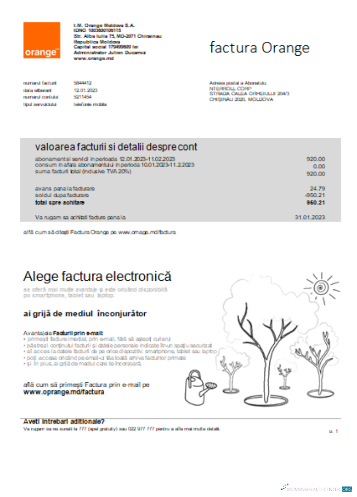 Download Moldova Orange Factura utility business bill, SCR Photoshop template